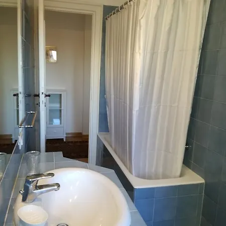 Luxury Apartment